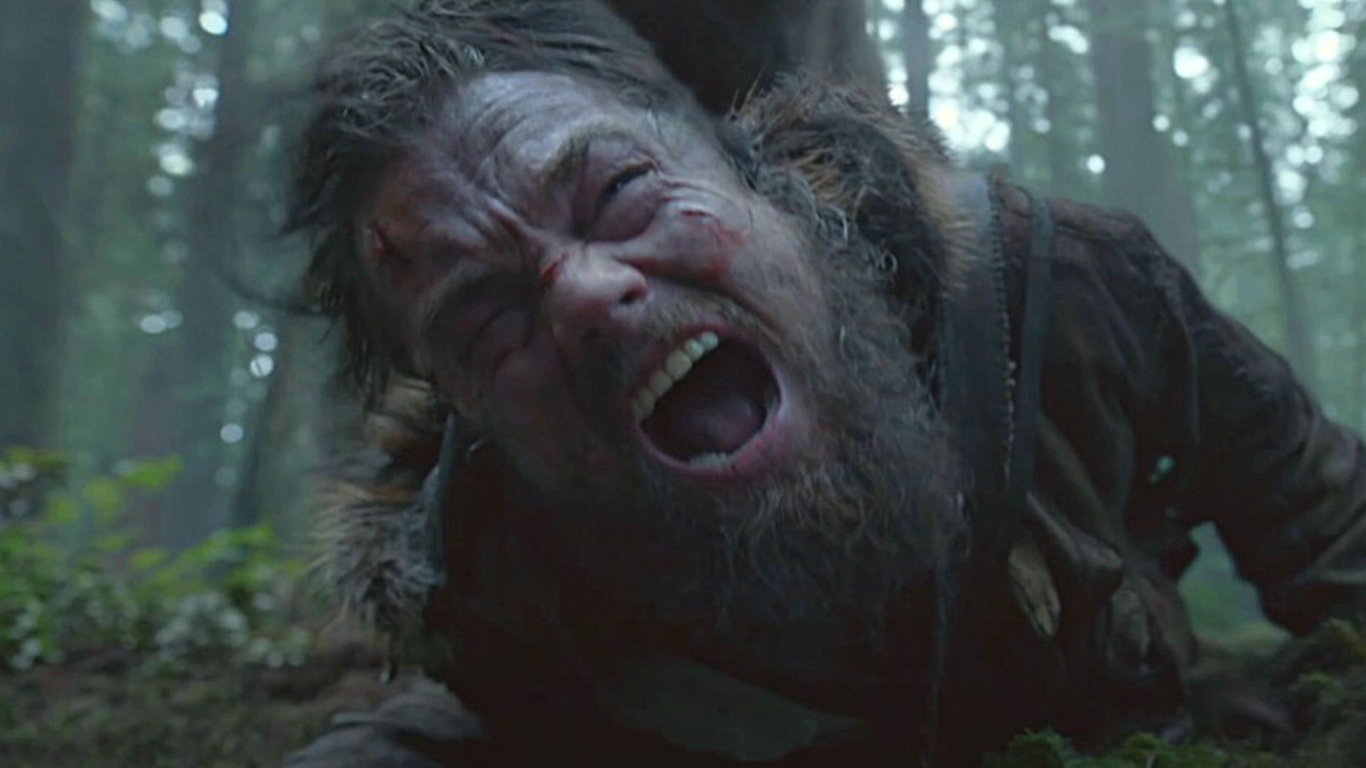 The Revenant : comment Leonardo DiCaprio a tourné la scène avec l'ours ?