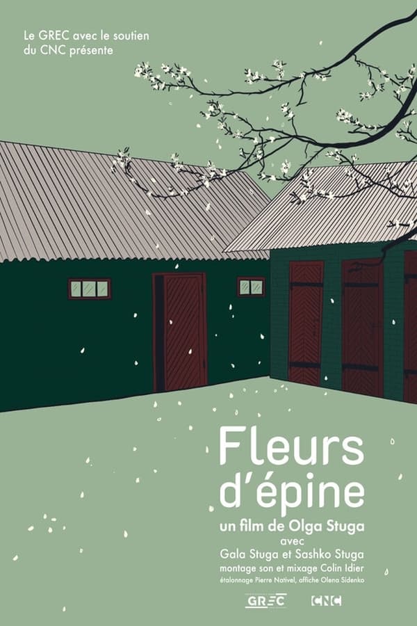 Fleurs d'épine