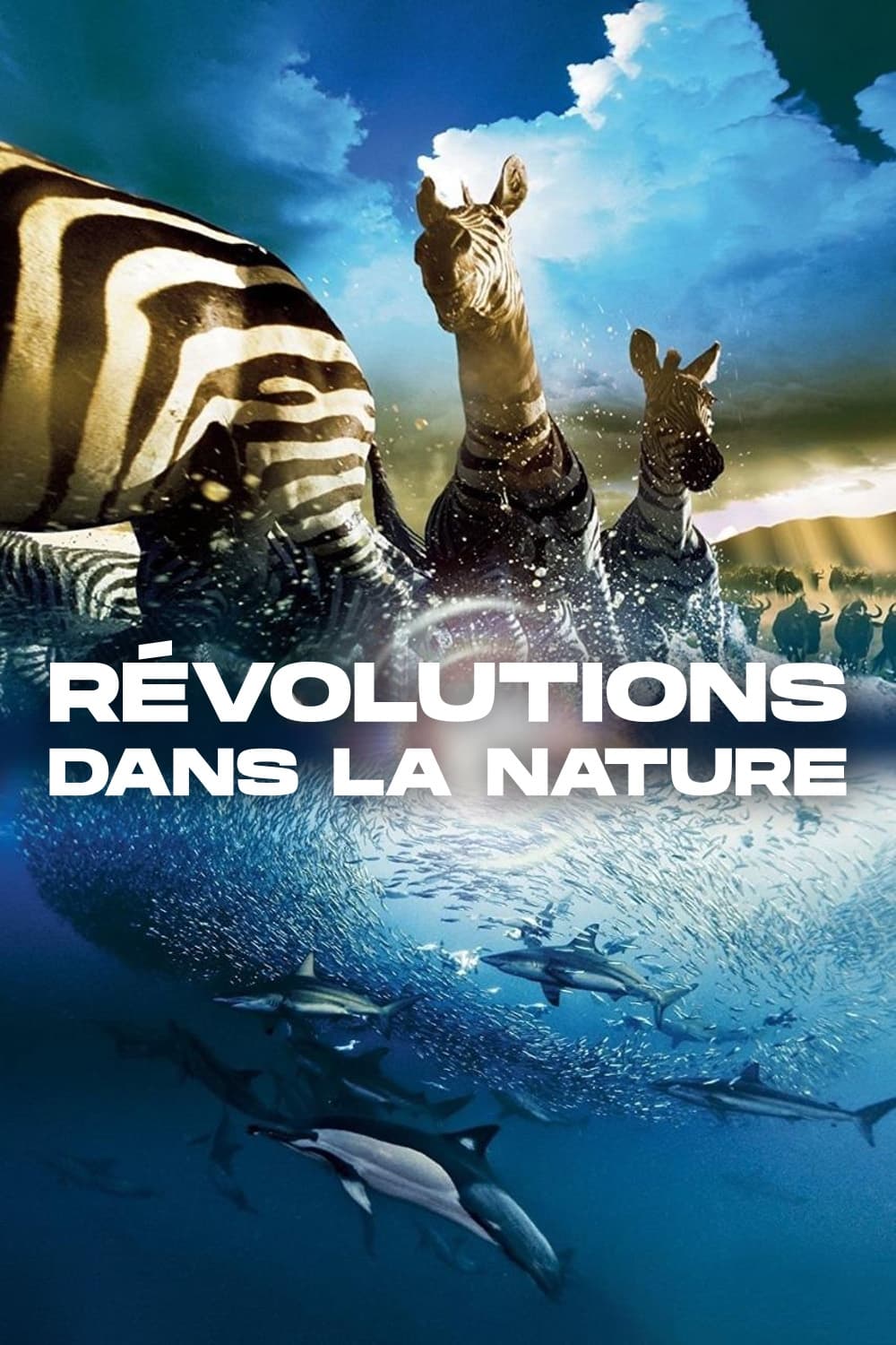 Révolutions dans la nature