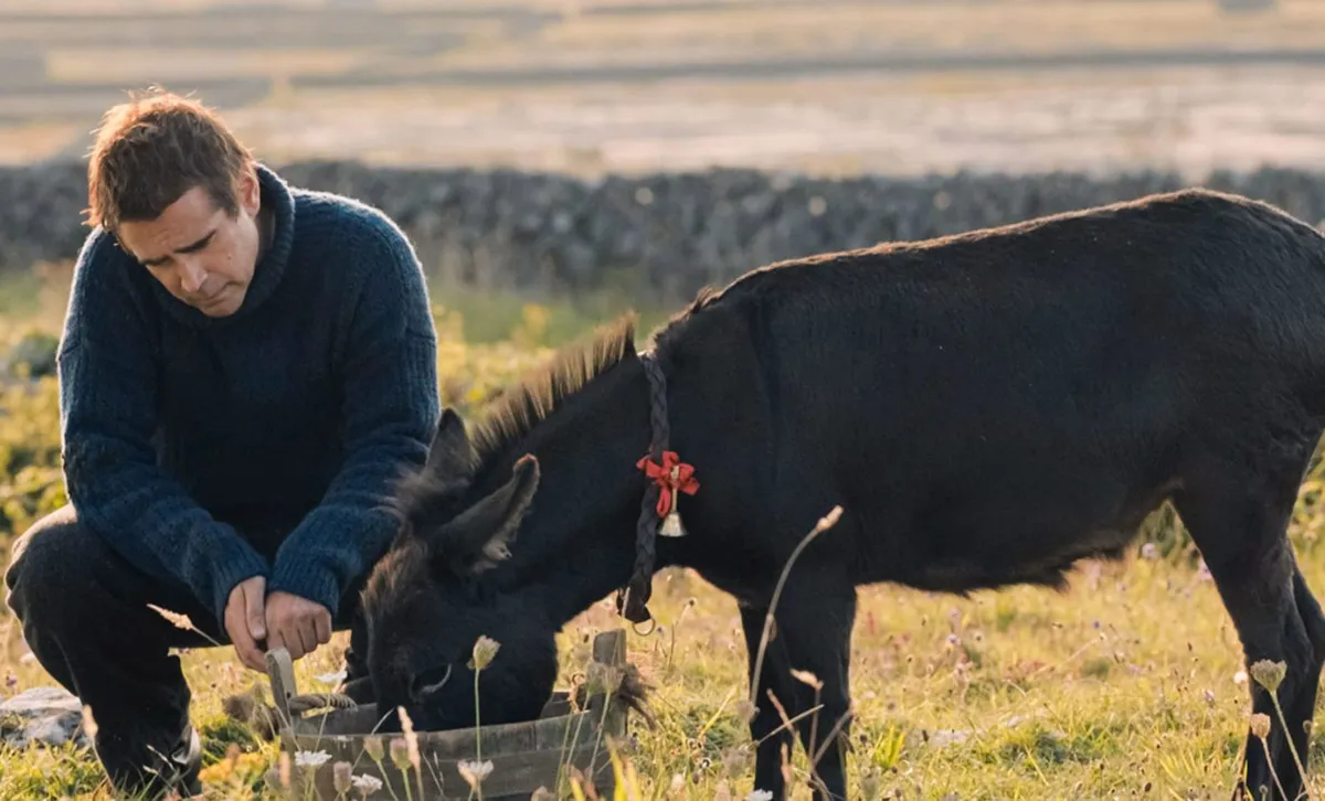 Les Banshees d'Inisherin : quand les animaux du film martyrisaient Colin Farrell