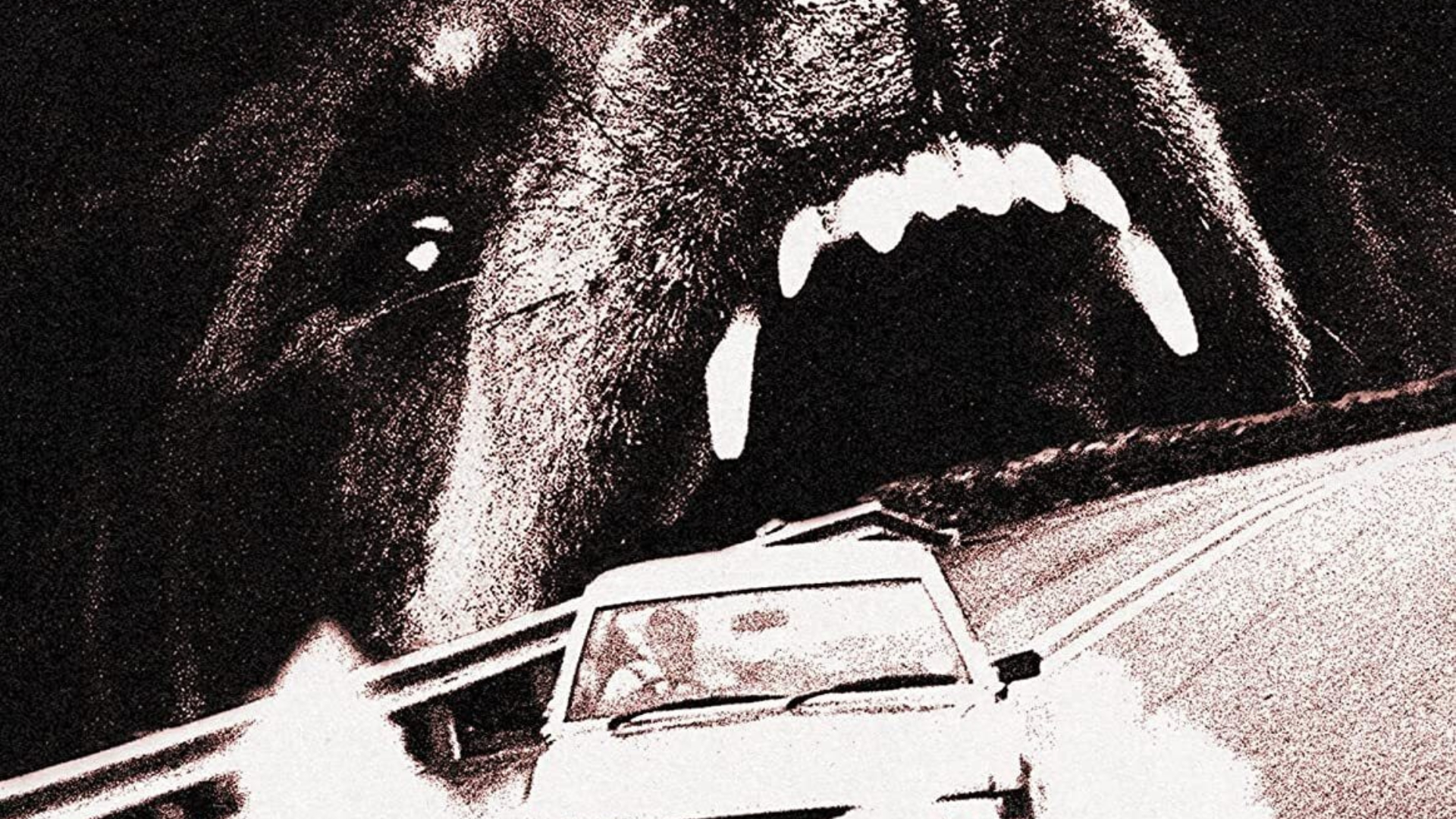 Réalisé il y a 40 ans, ce terrifiant film d'horreur arrive (enfin) au cinéma