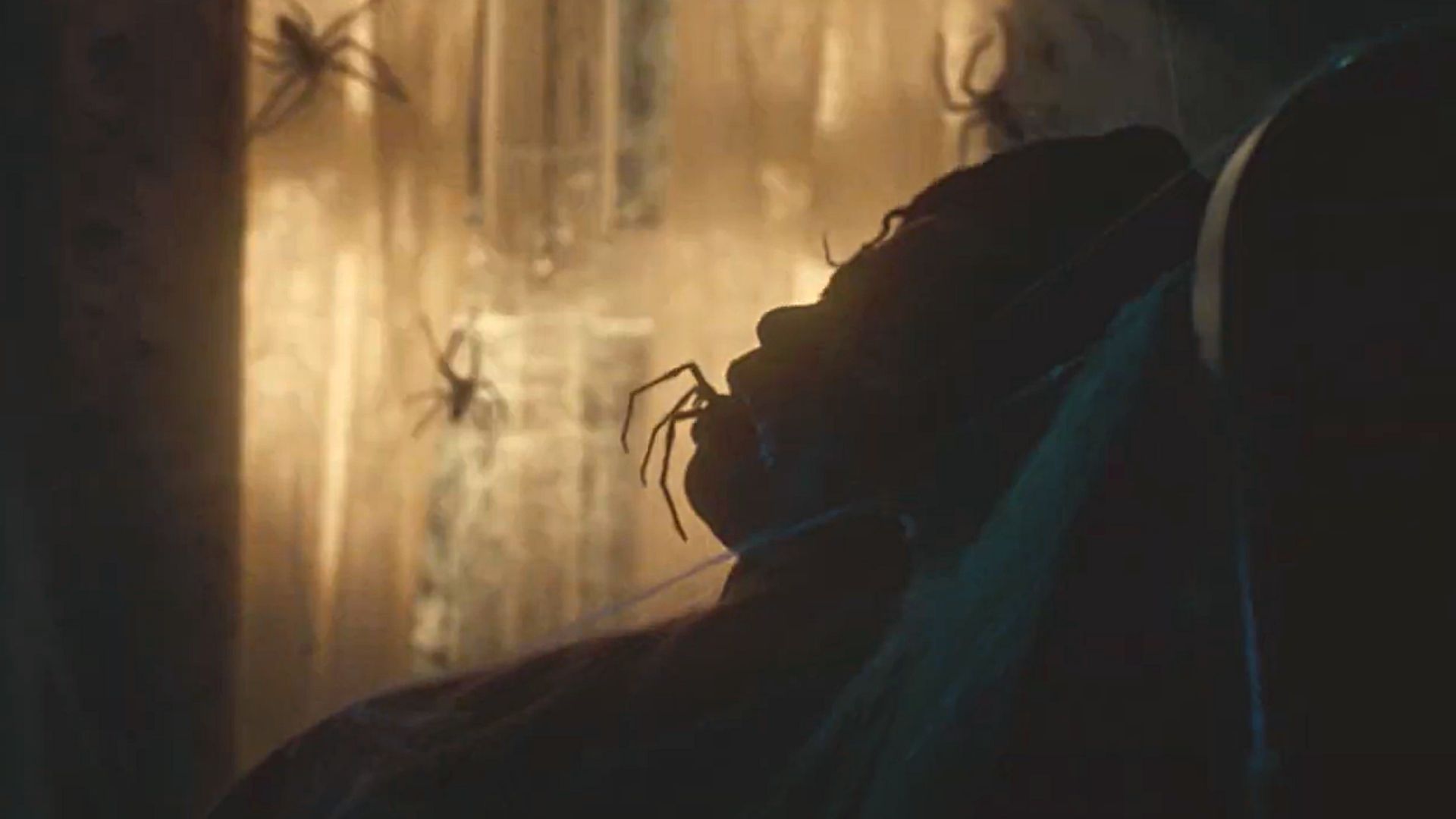 Vermines : un teaser terrifiant pour le film d'horreur français avec des araignées