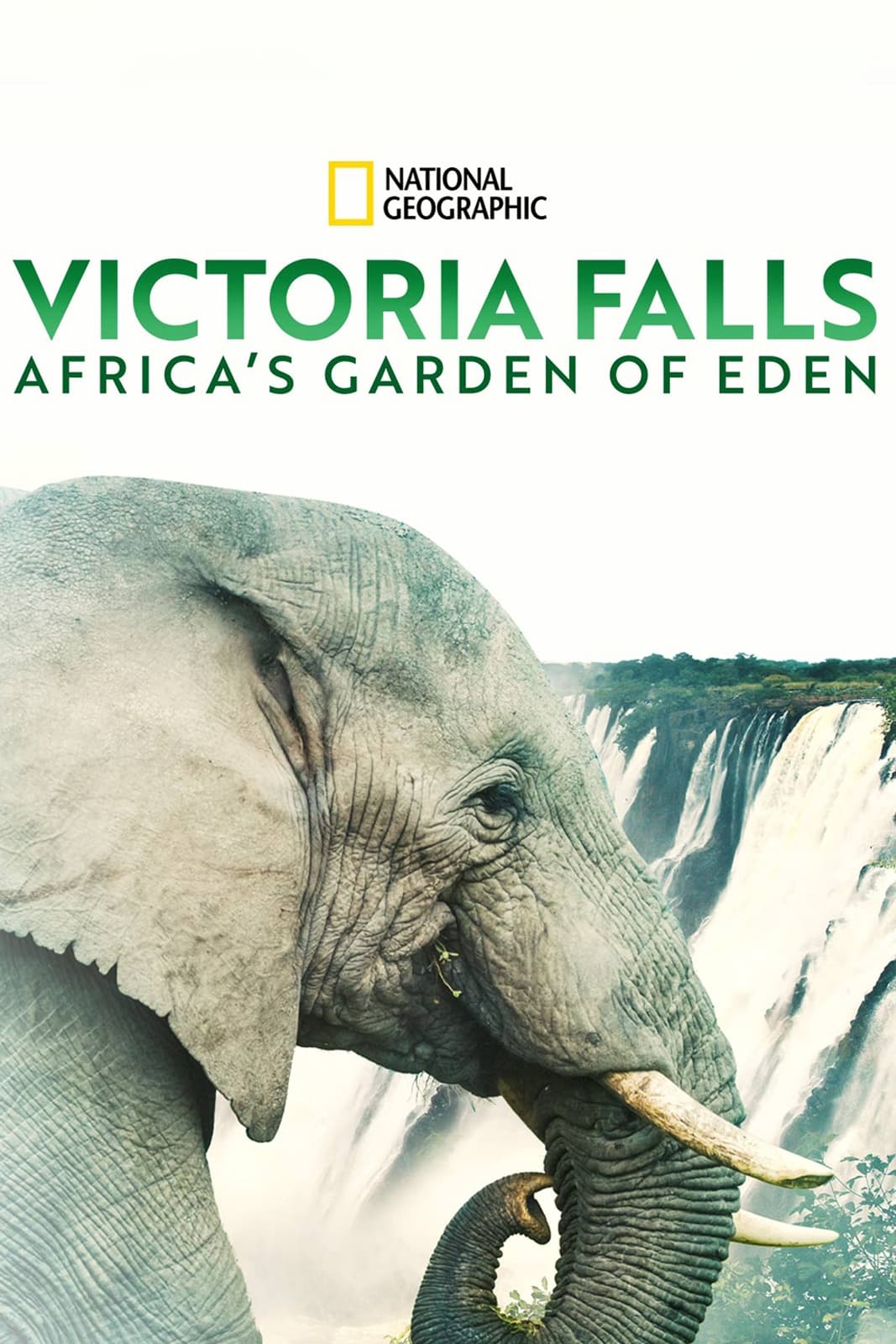 Les chutes Victoria : Le jardin d'Éden africain