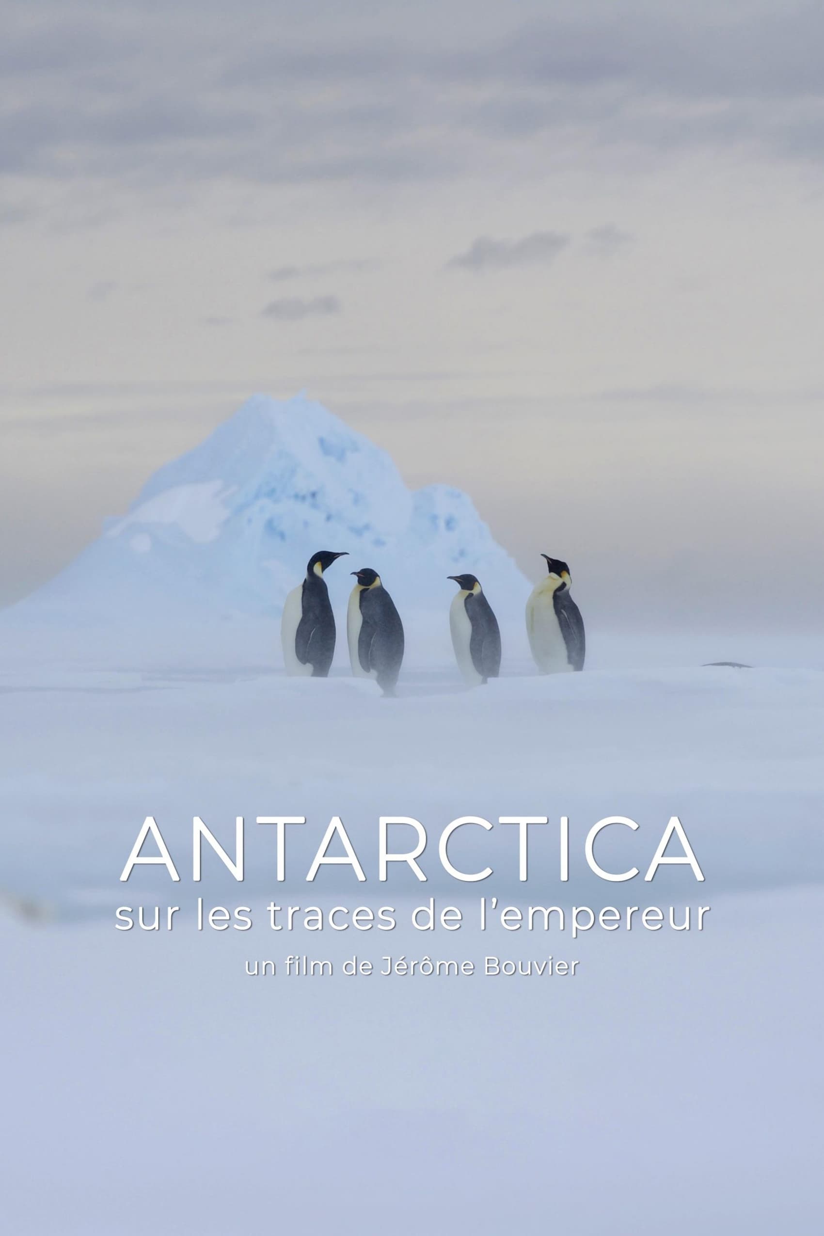 Antarctica, sur les traces de l'empereur