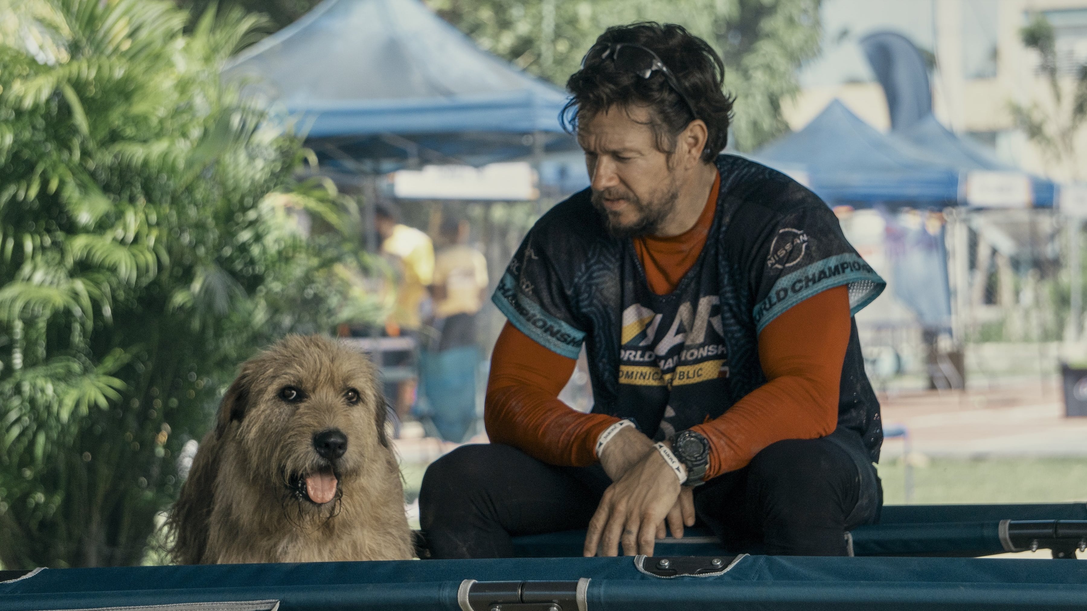 Mark Wahlberg fait équipe avec un chien dans une incroyable histoire vraie
