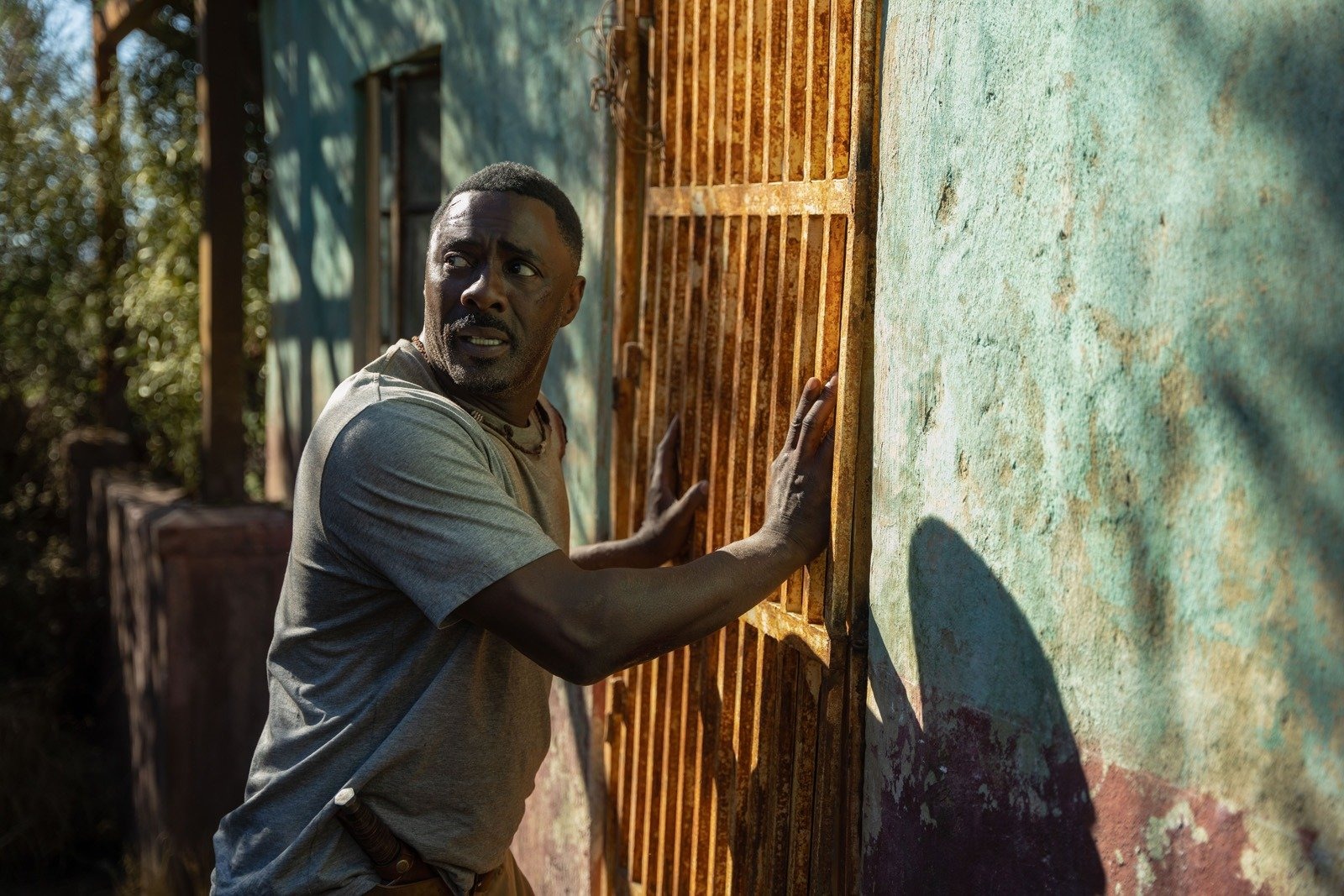 Netflix : ce survival avec Idris Elba cartonne après s'être planté au box-office