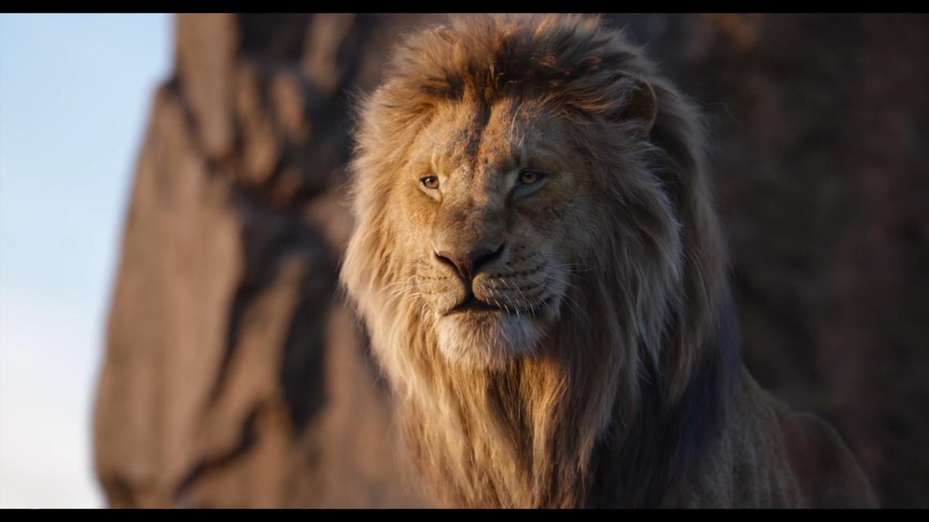 Le Roi Lion : le film sur Mufasa sortira plus tard que prévu