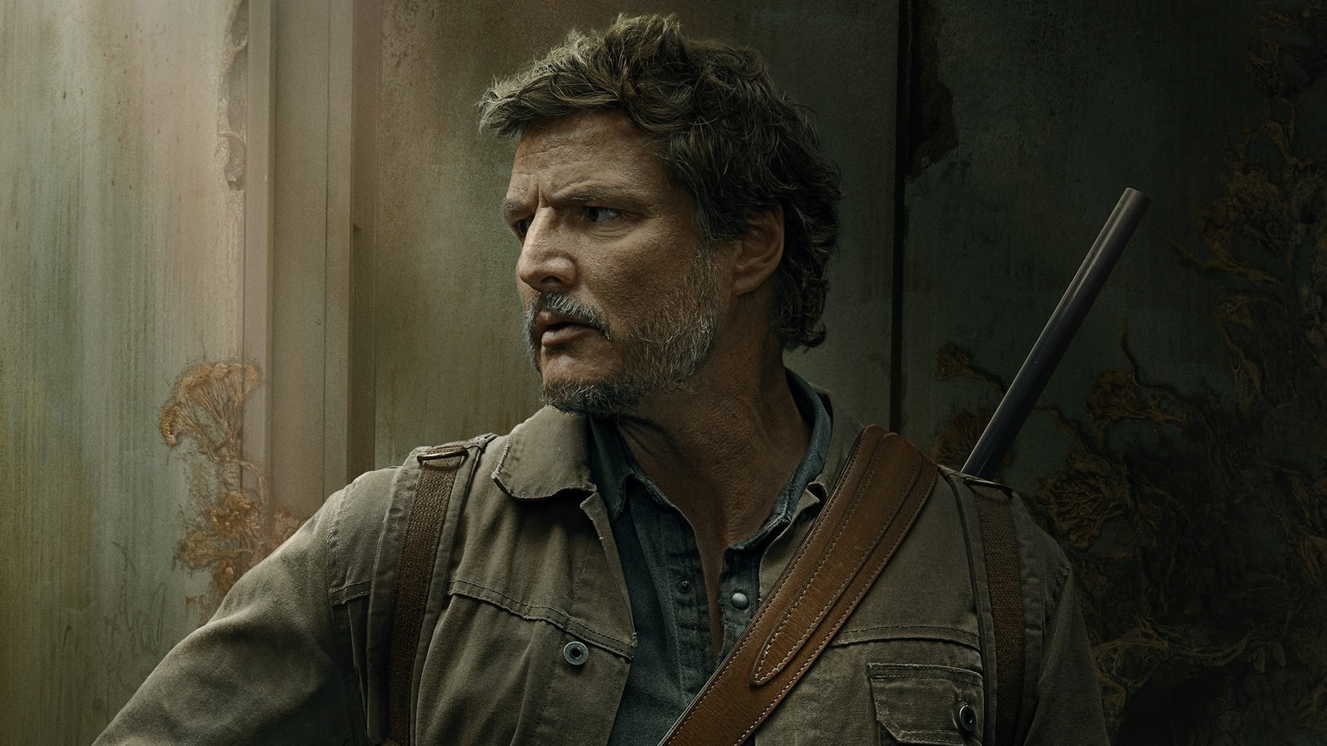 The Last of Us saison 2 : le tournage va bientôt commencer !