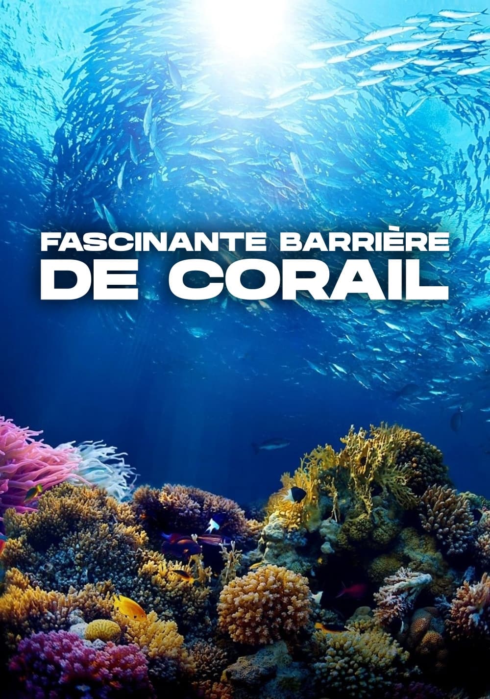 Fascinante barrière de corail