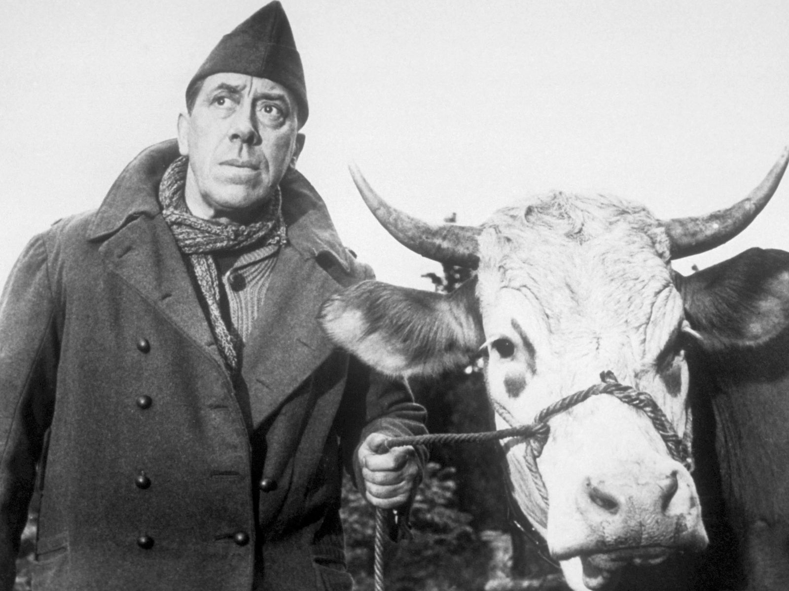 La Vache et le prisonnier : comment la vache du film a été sauvée de l'abattoir