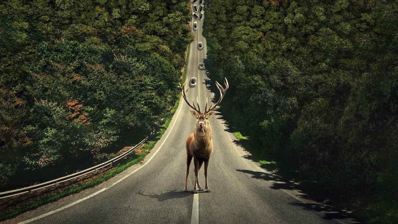 Le Monde après nous : que représentent les cerfs ? Le réalisateur répond à la question