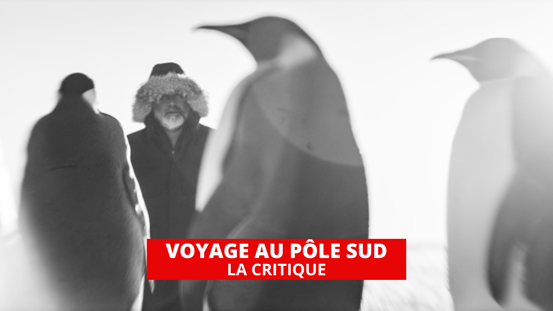 Voyage au pôle sud : esthétique du monde contre langage humain