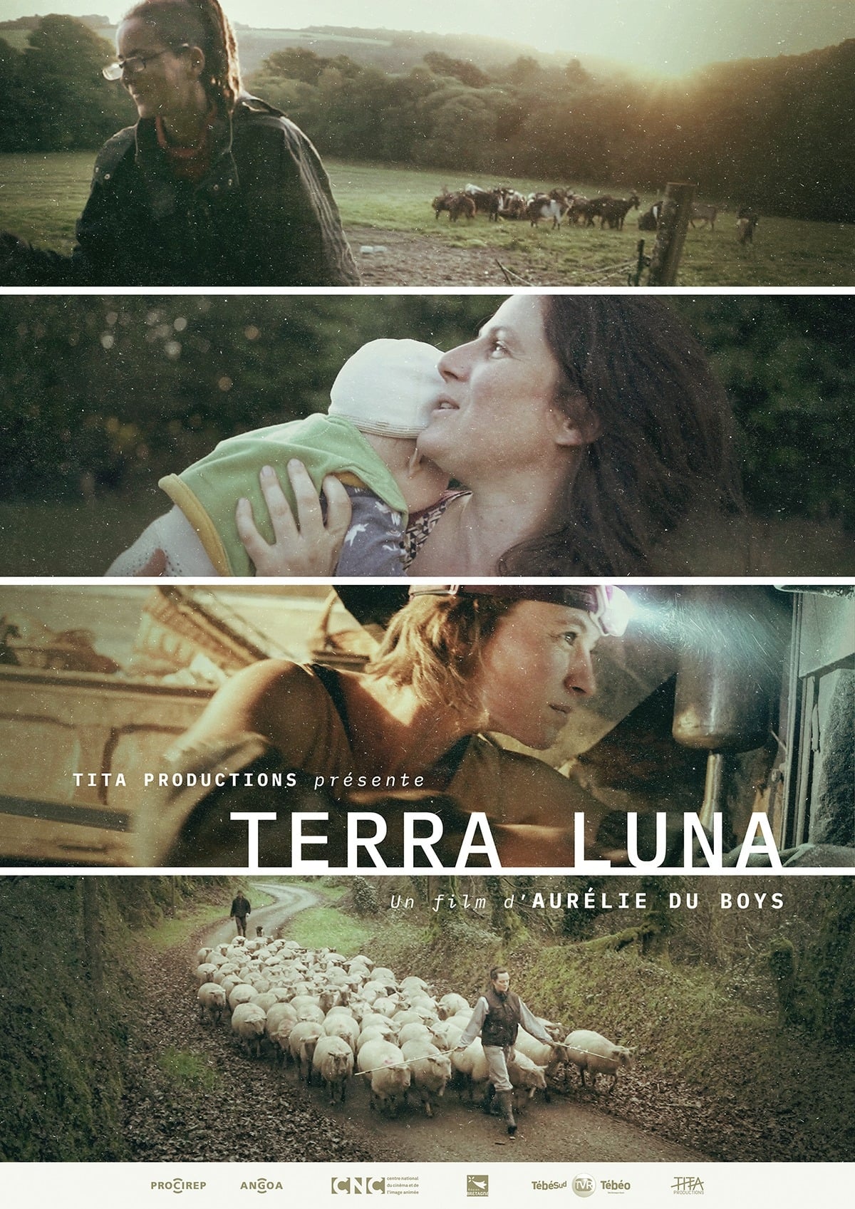 Terra Luna