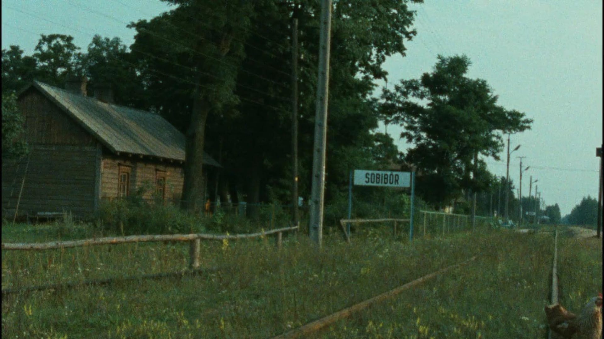 Shoah sur France 2 : la confusion que Claude Lanzmann ne supportait pas