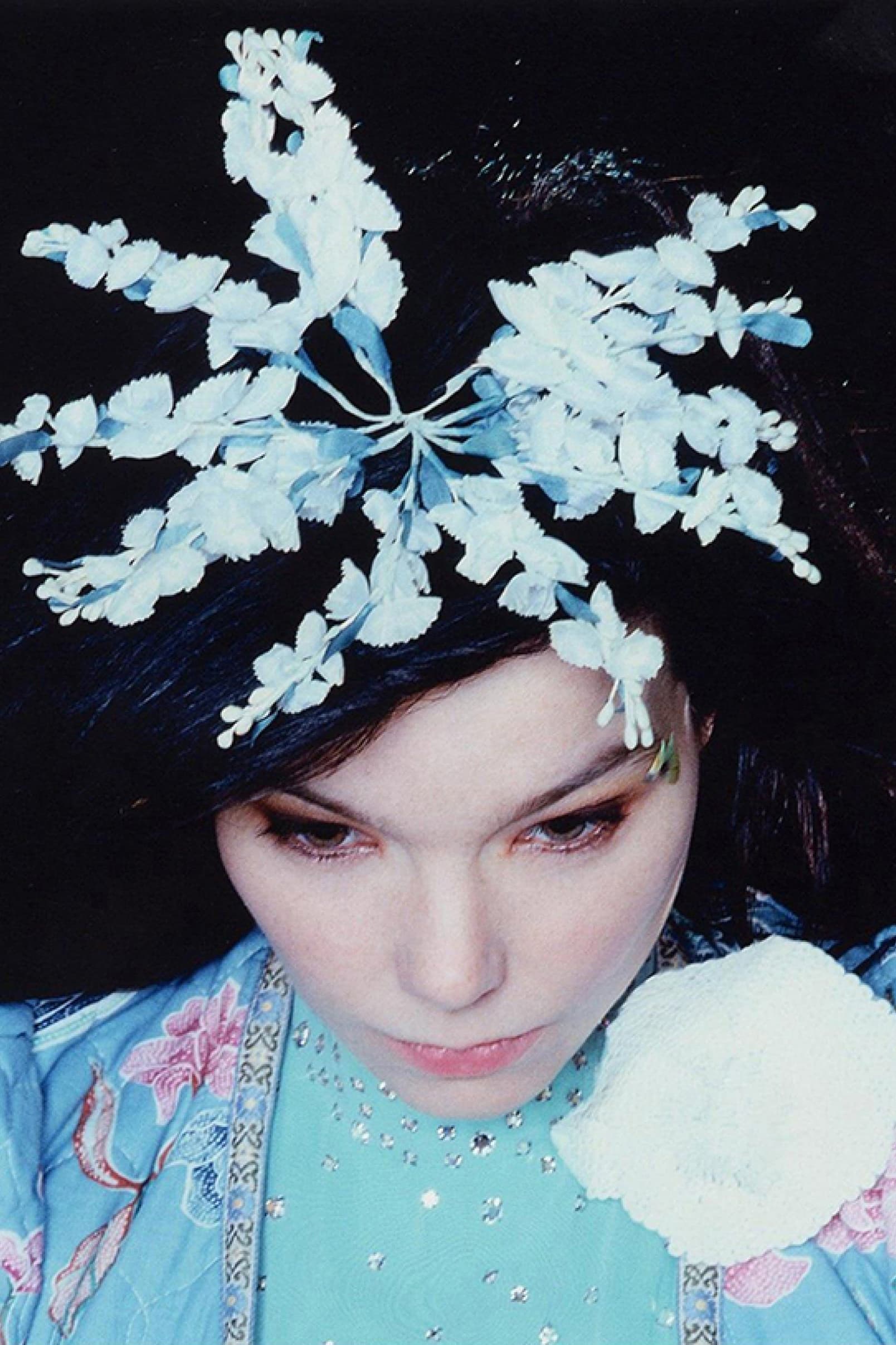 Björk - The Creative Universe of a Music Missionary