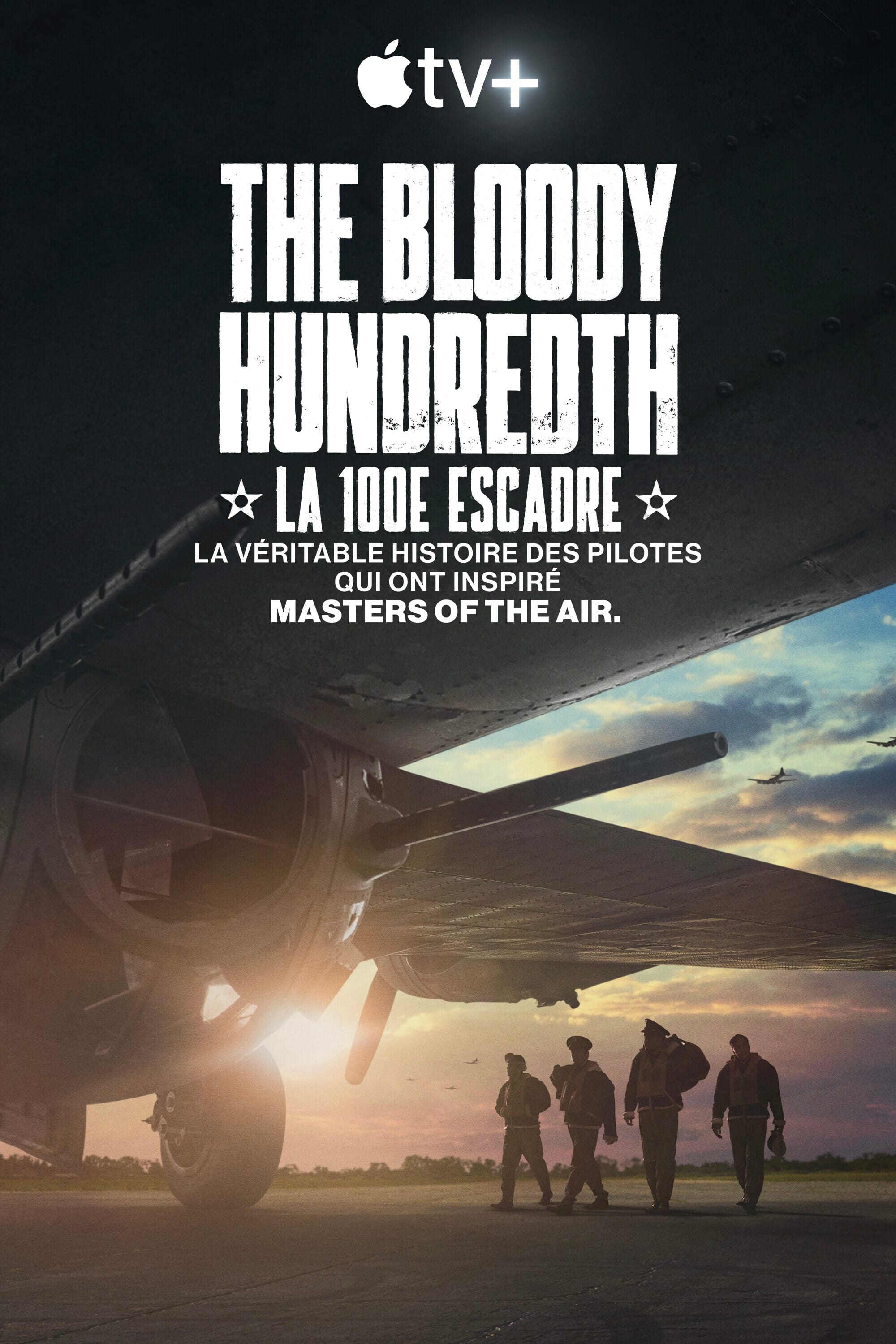 The Bloody Hundredth : la 100e escadre