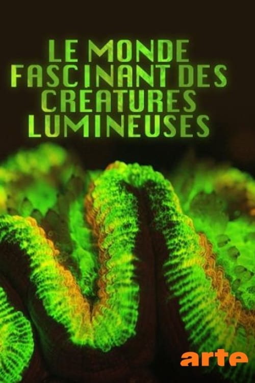 Le monde fascinant des créatures lumineuses