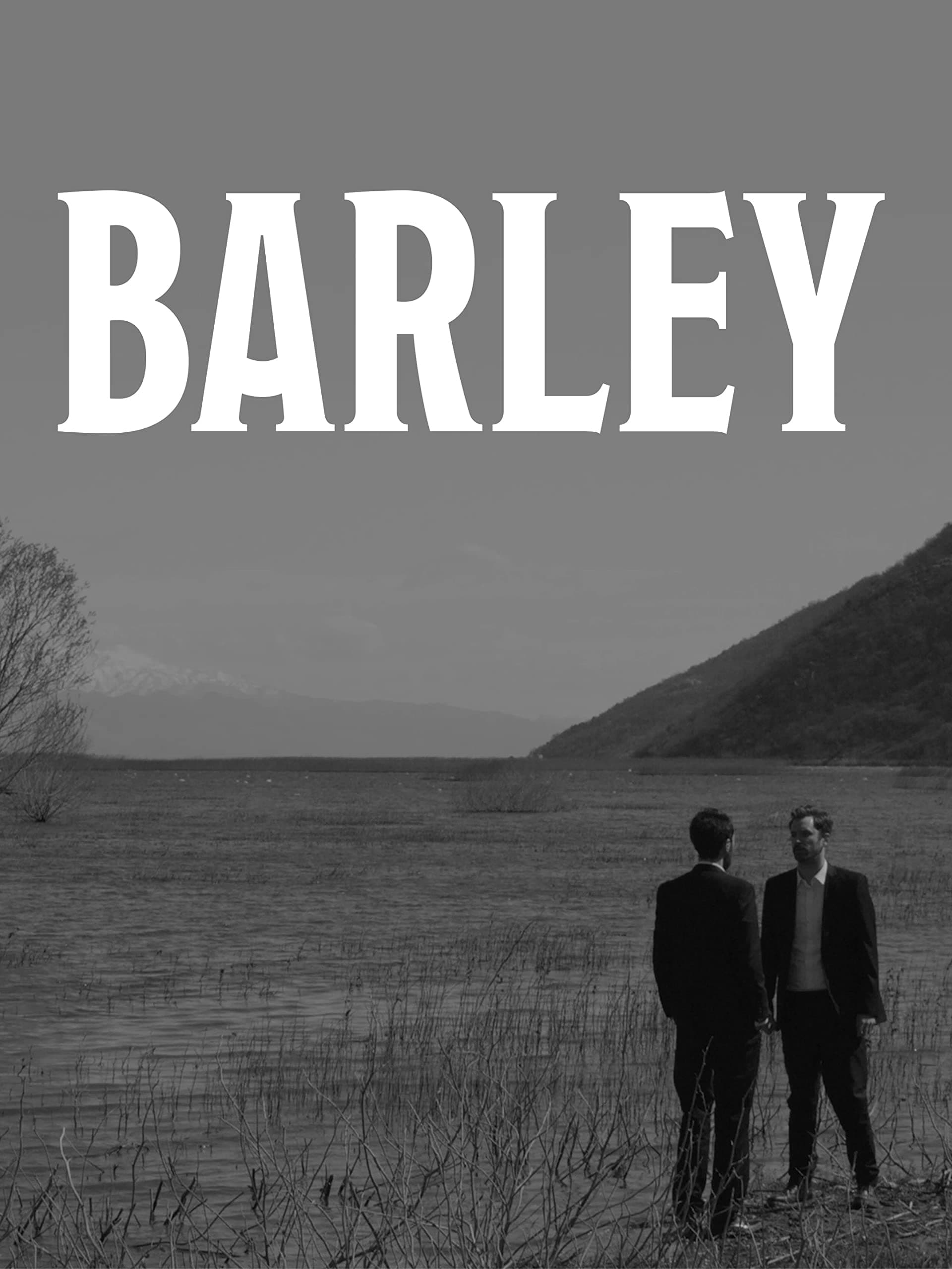 Barley