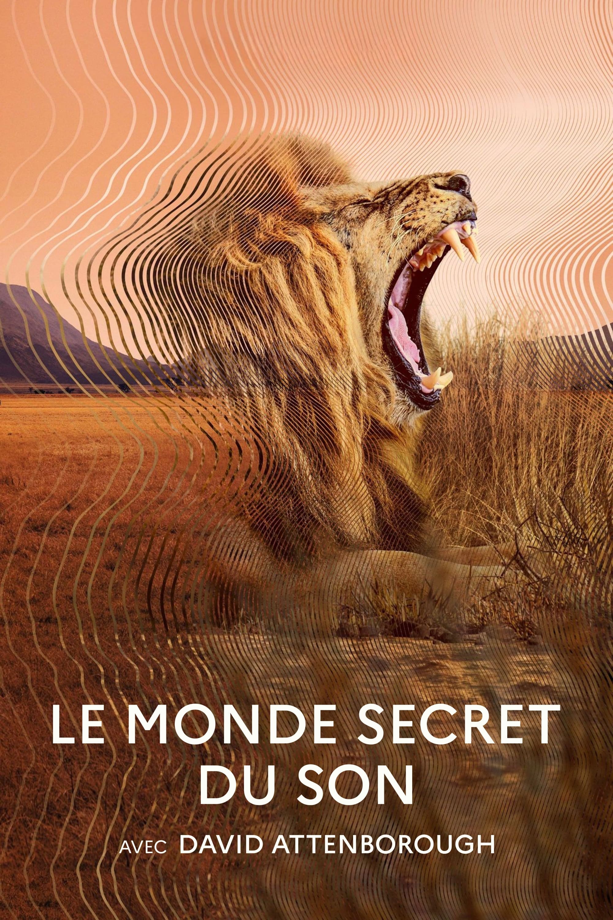 Le Monde secret du son avec David Attenborough