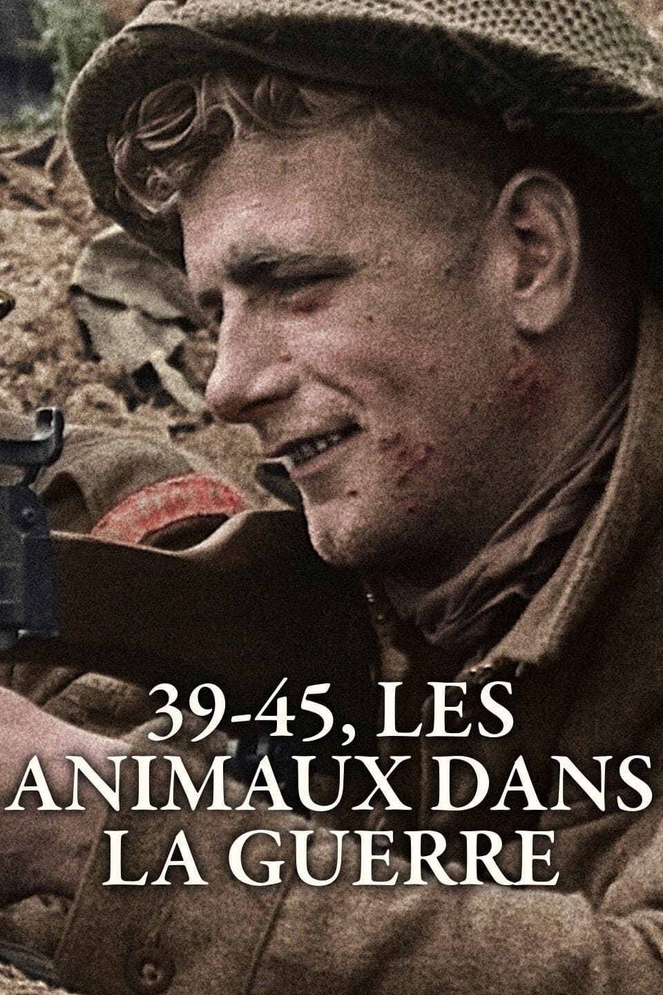 39-45, les animaux dans la guerre