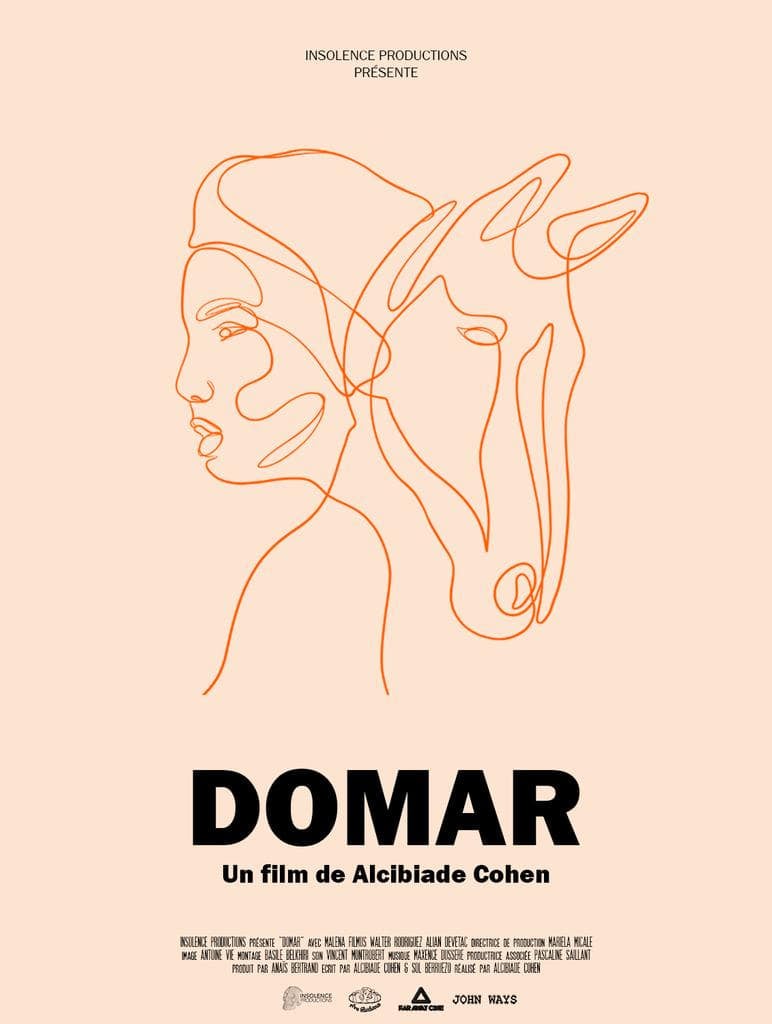 Domar