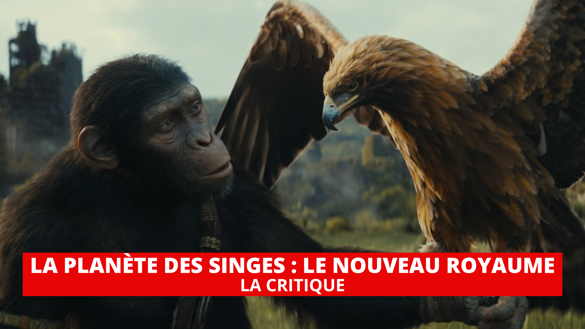 La Planète des Singes - Le Nouveau Royaume : un spectacle époustouflant pour relancer la franchise
