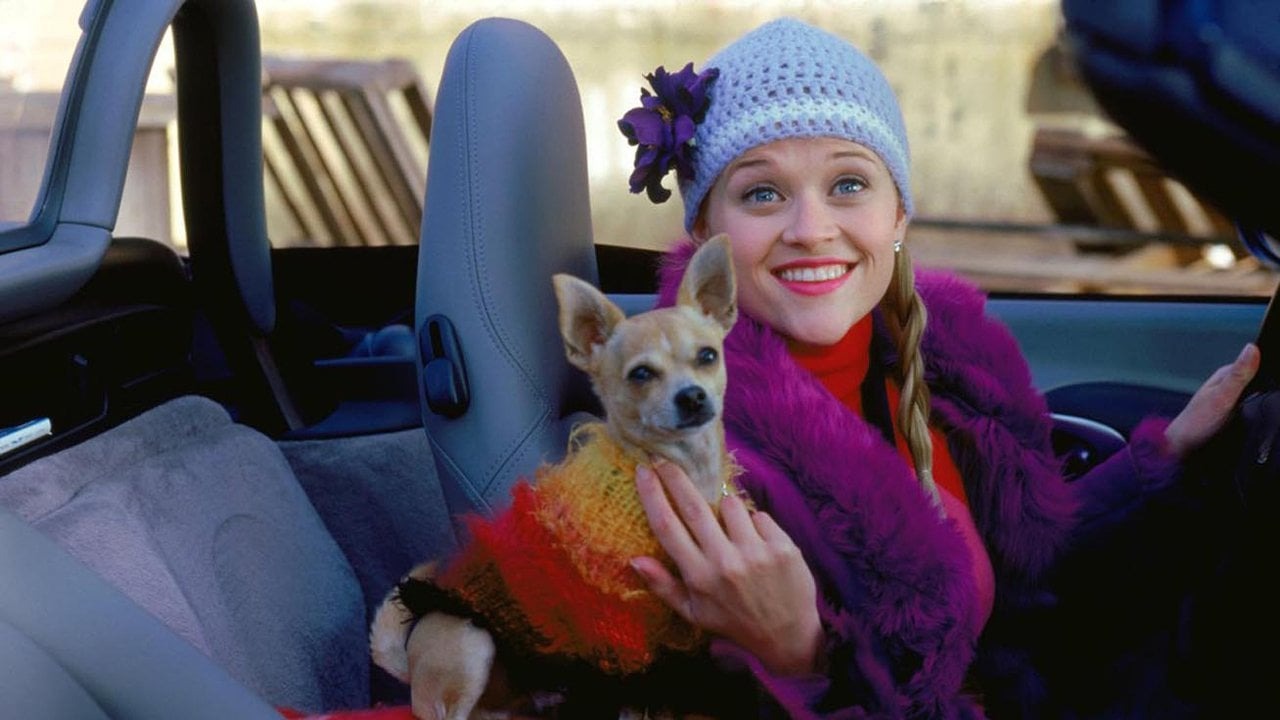 La Revanche d’une blonde : Elle Woods est de retour mais pas comme on le pensait