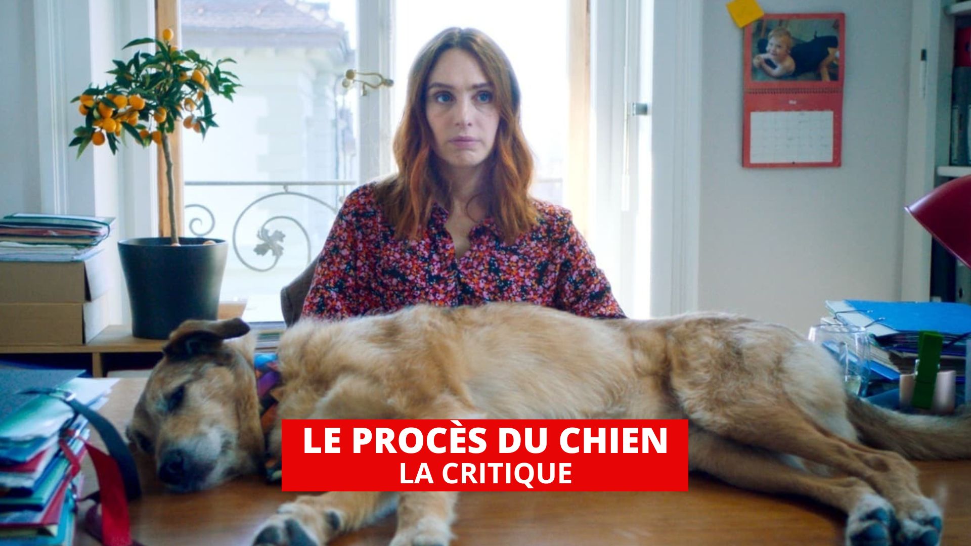 Le Procès du chien : une grande première tragicomique de Lætitia Dosch