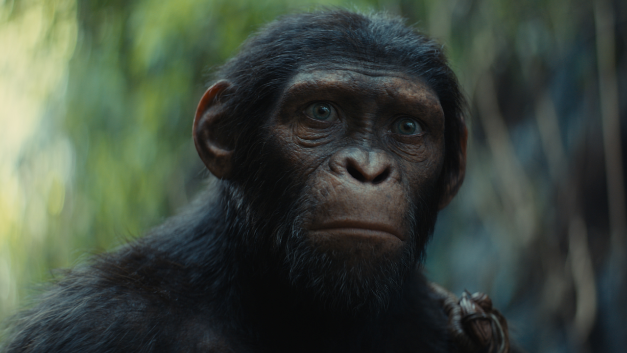 La Planète des Singes fait-il mieux qu'Avatar ? Wes Ball nous répond