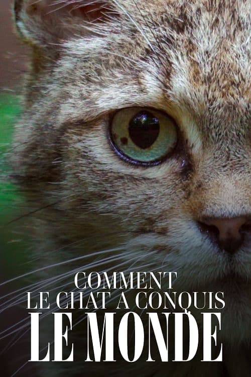 Comment le chat a conquis le monde