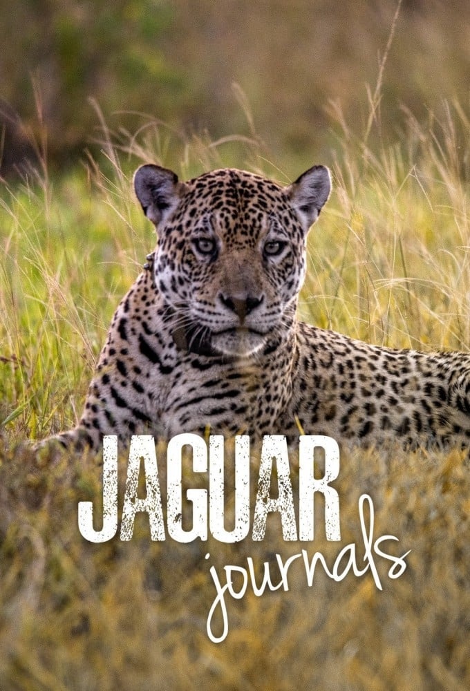 Jaguar Journals