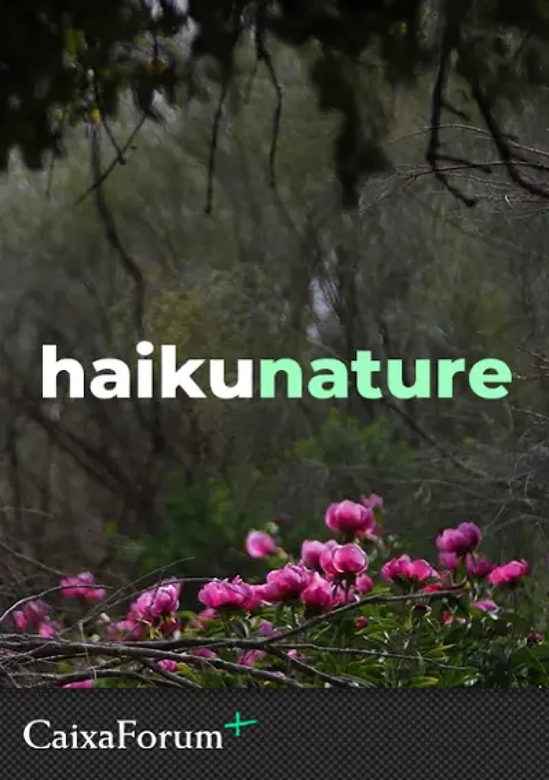 Haiku Nature