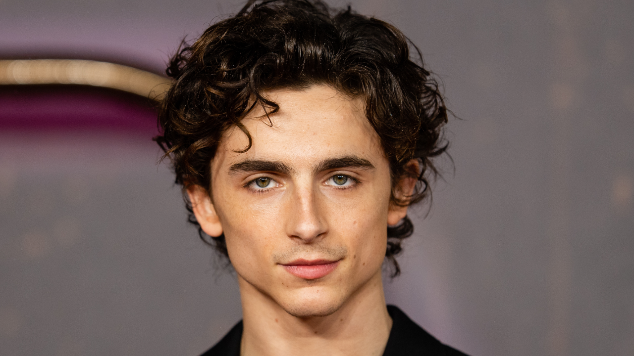 Timothée Chalamet a un nouveau projet avec un réalisateur prestigieux