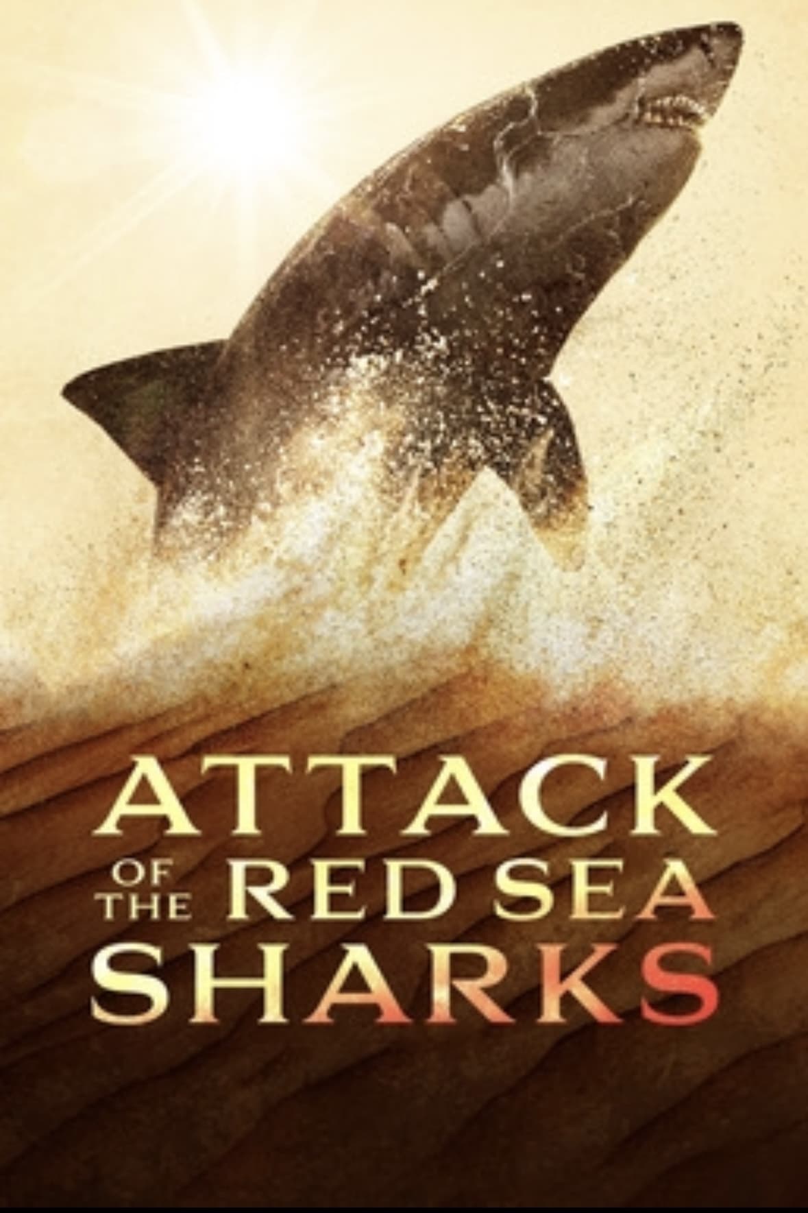 Attack of the Red Sea Sharks