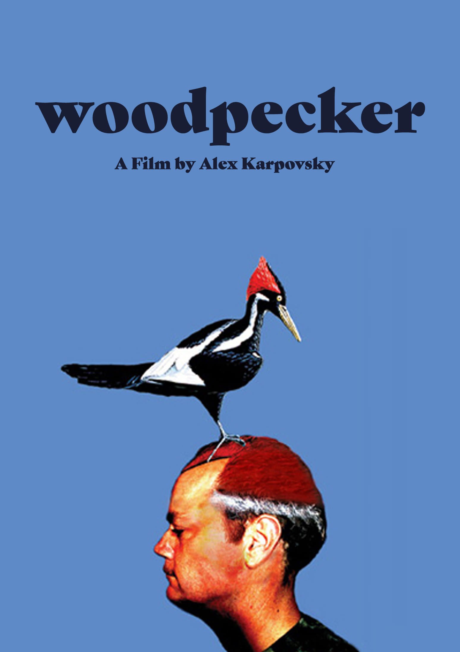 Woodpecker