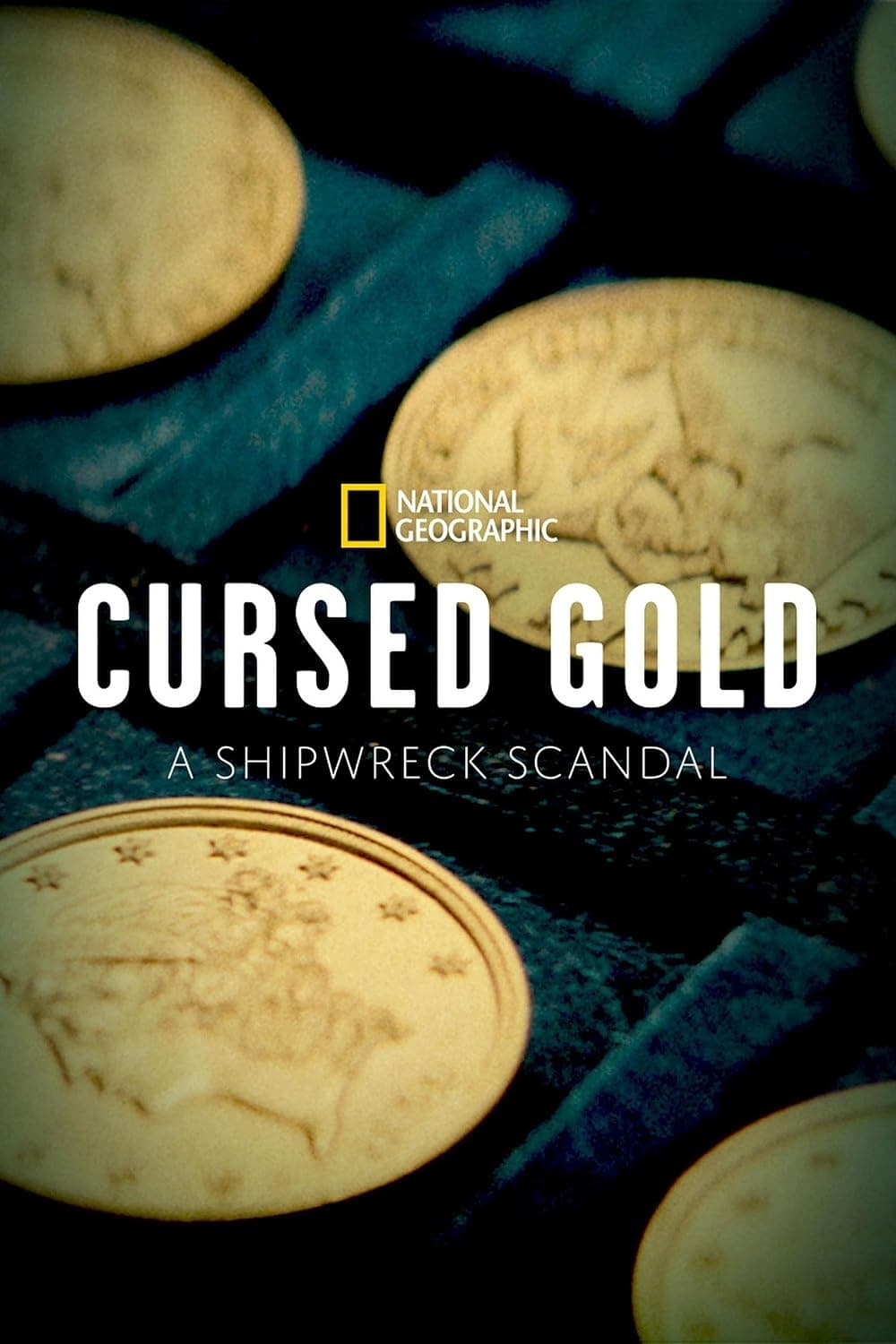 Cursed Gold: A Shipwreck Scandal