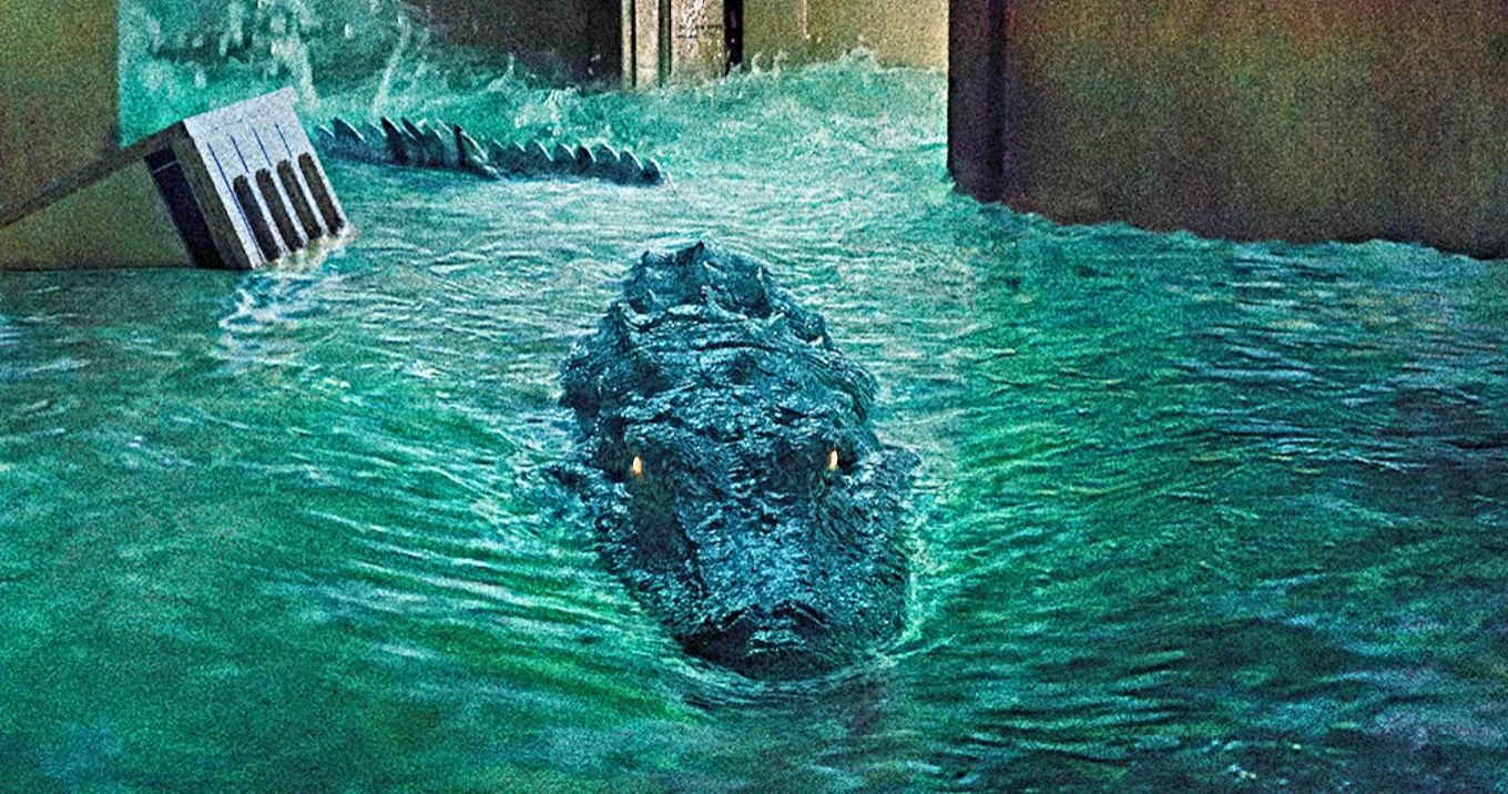 Sorti il y a 5 ans, ce film de crocodiles génial va enfin avoir une suite