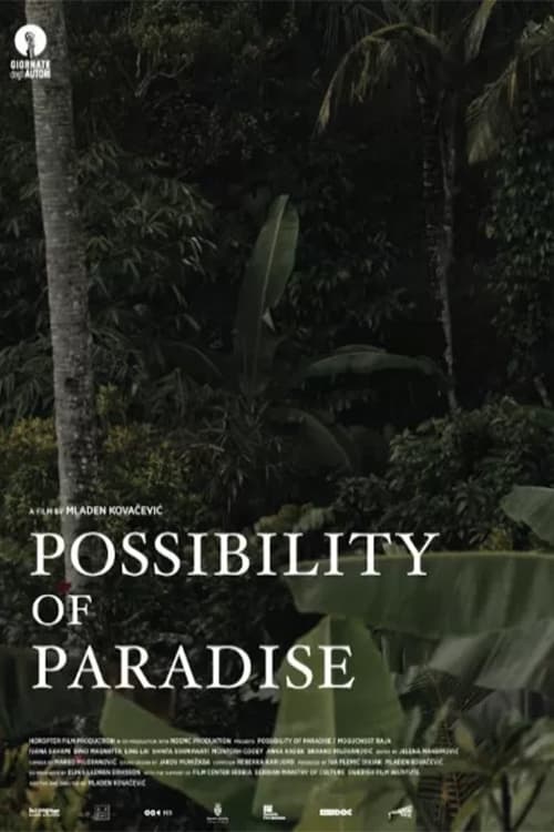 Possibility of Paradise