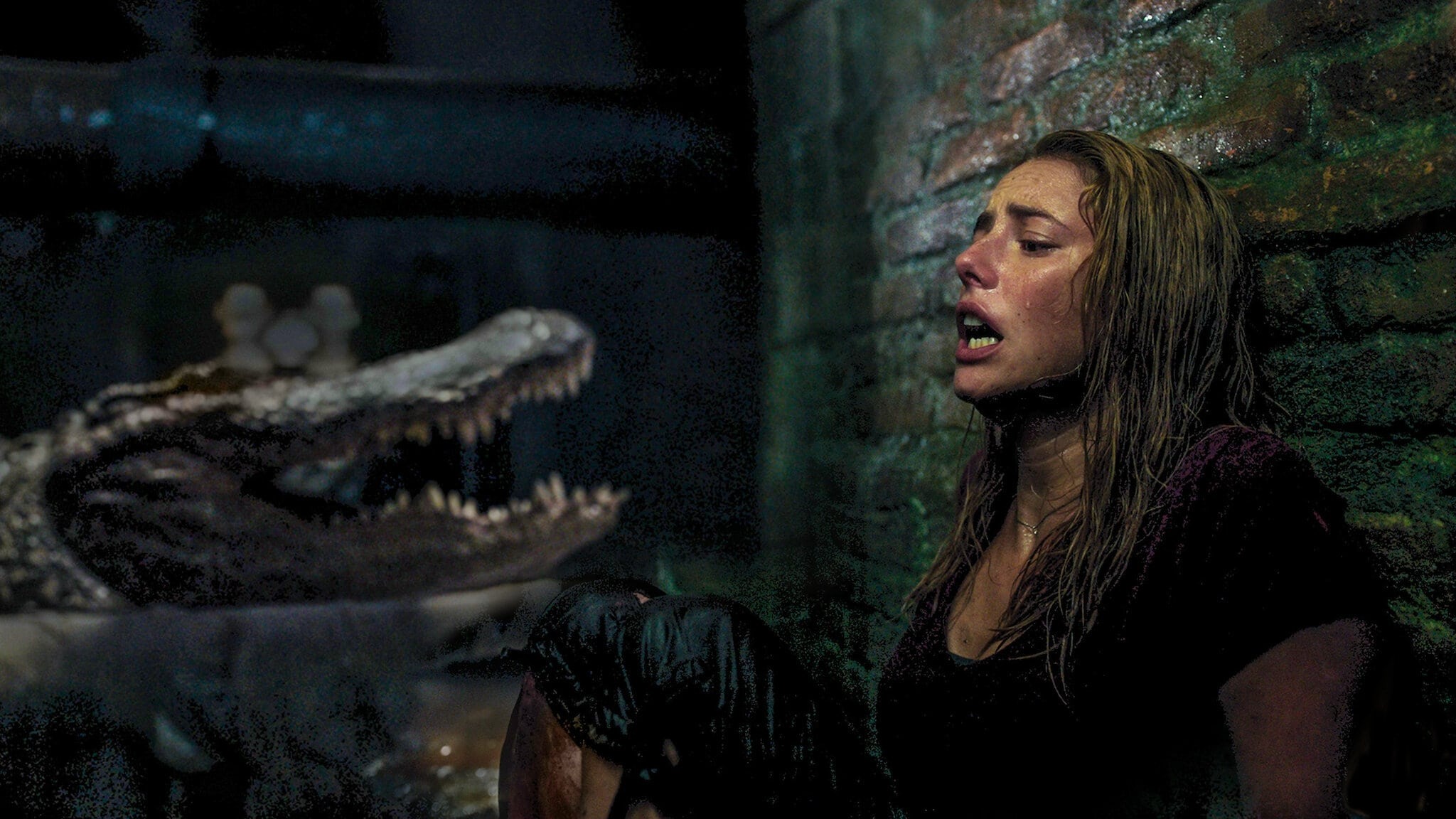 [EXCLU] Crawl 2 : Alexandre Aja nous donne des infos sur la suite du film d'alligators