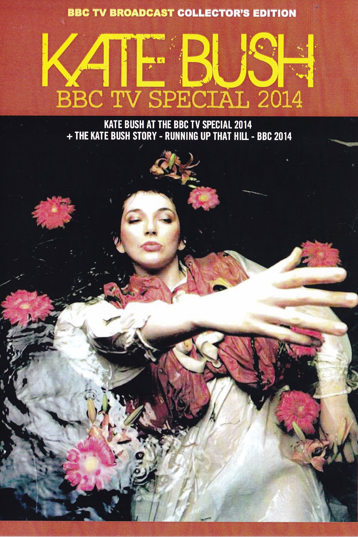 Kate Bush - At the BBC