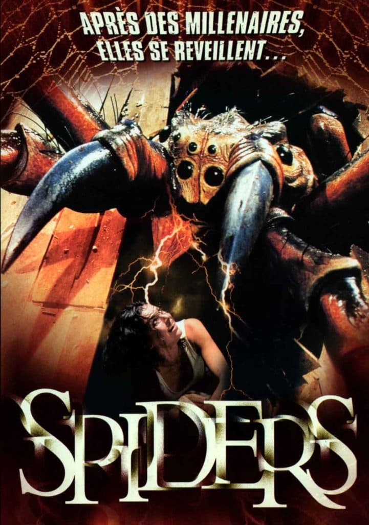 Spiders