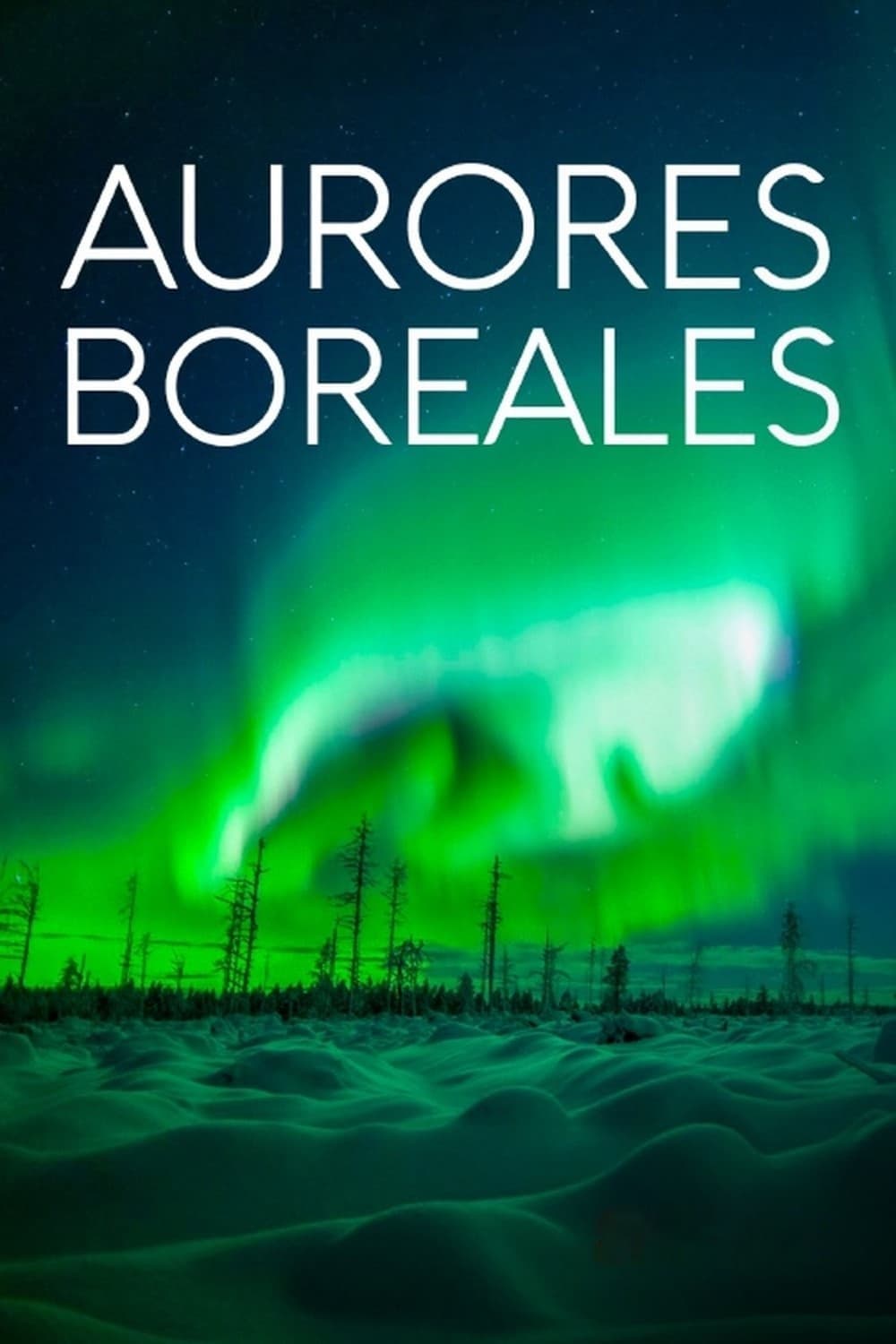 Aurores boréales : Des lumières fascinantes mais menaçantes