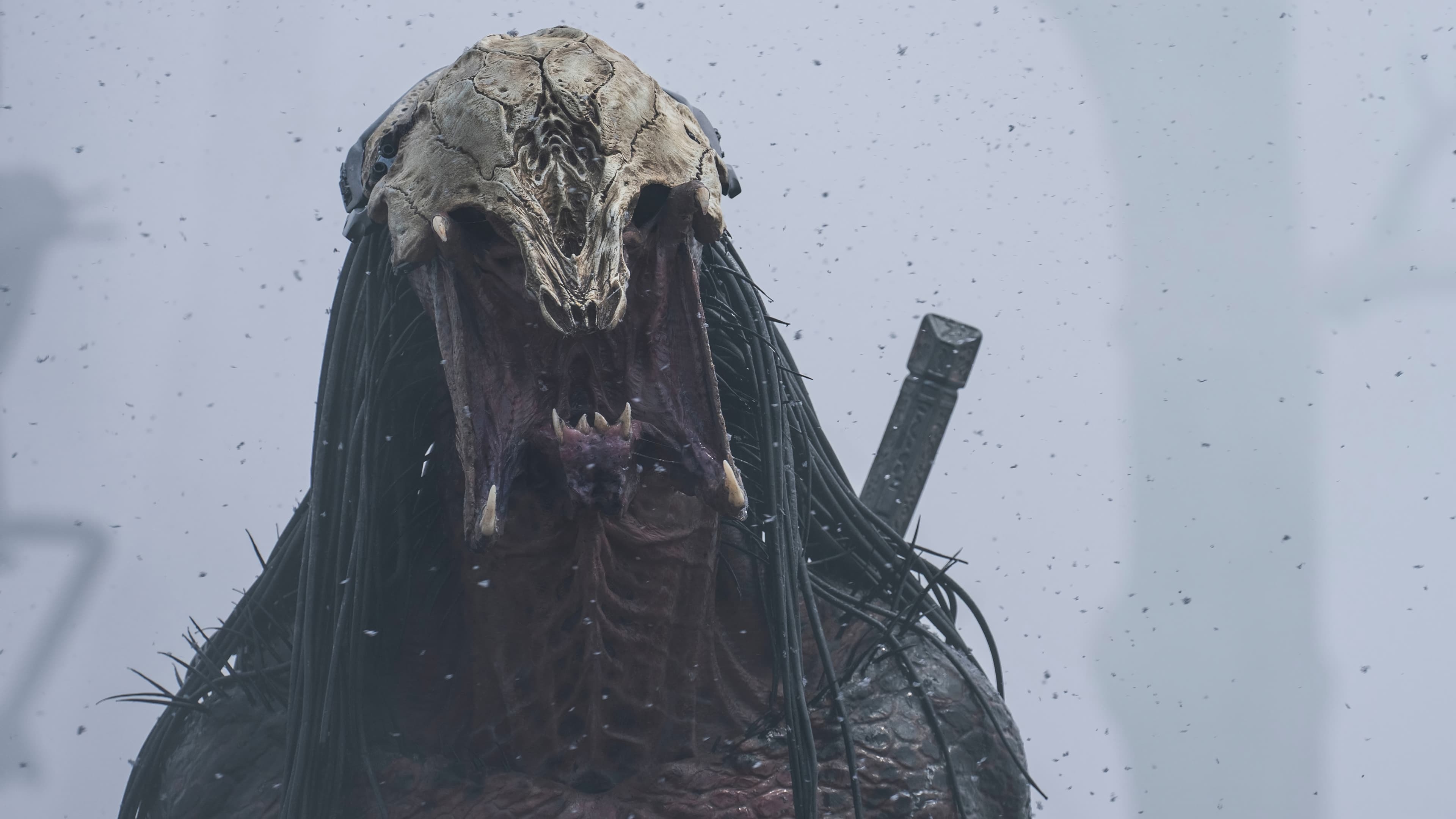 Predator : un nouveau film a été réalisé en secret, et ce sera 
