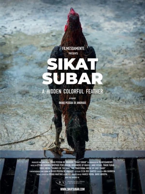 Sikat Subar - A Hidden Colorful Feather