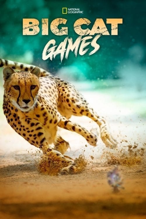 Big Cat Games