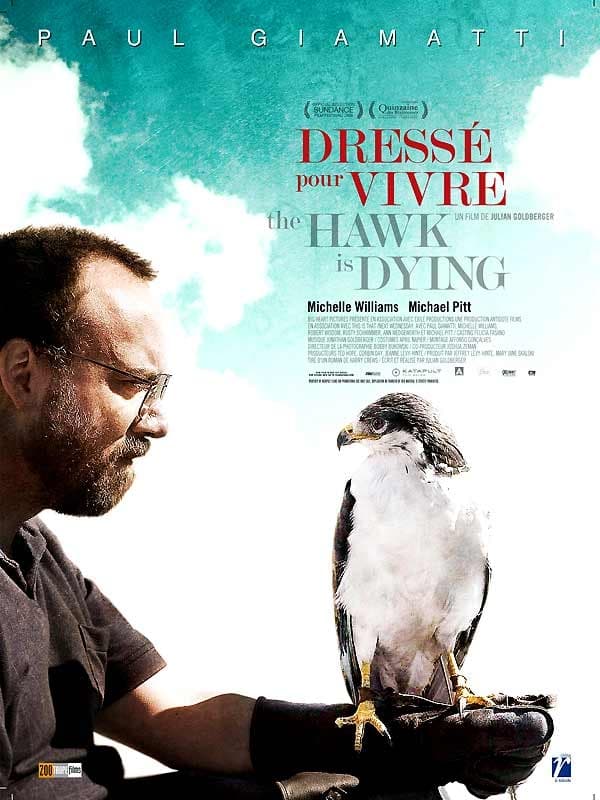 Dressé pour vivre - The Hawk Is Dying