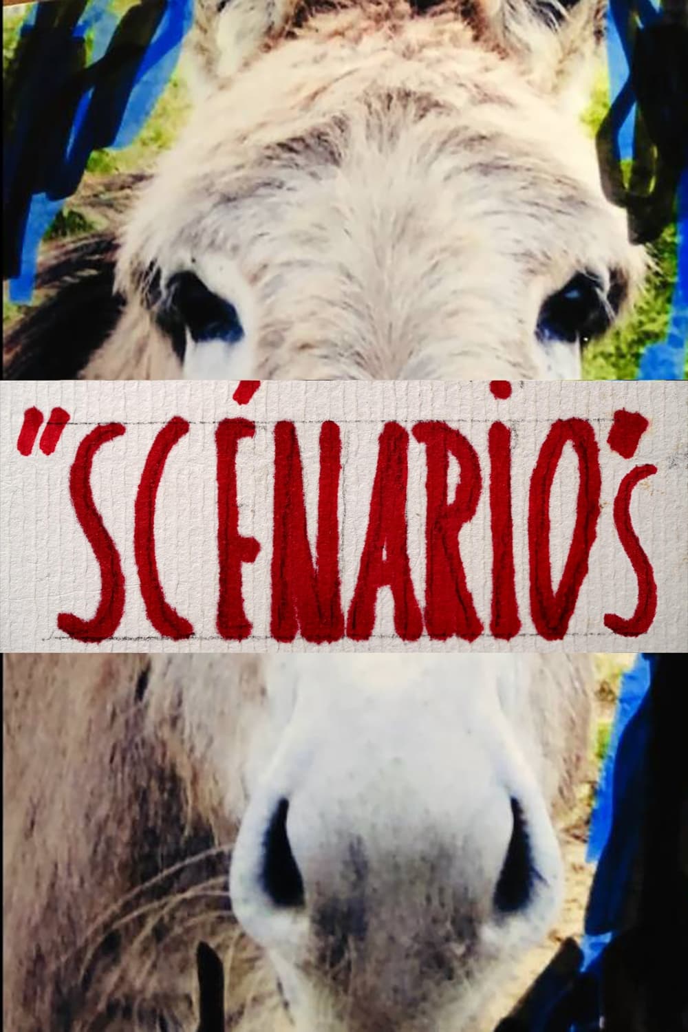 Scénarios