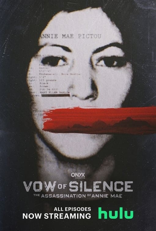 Vow of Silence: The Assassination of Annie Mae