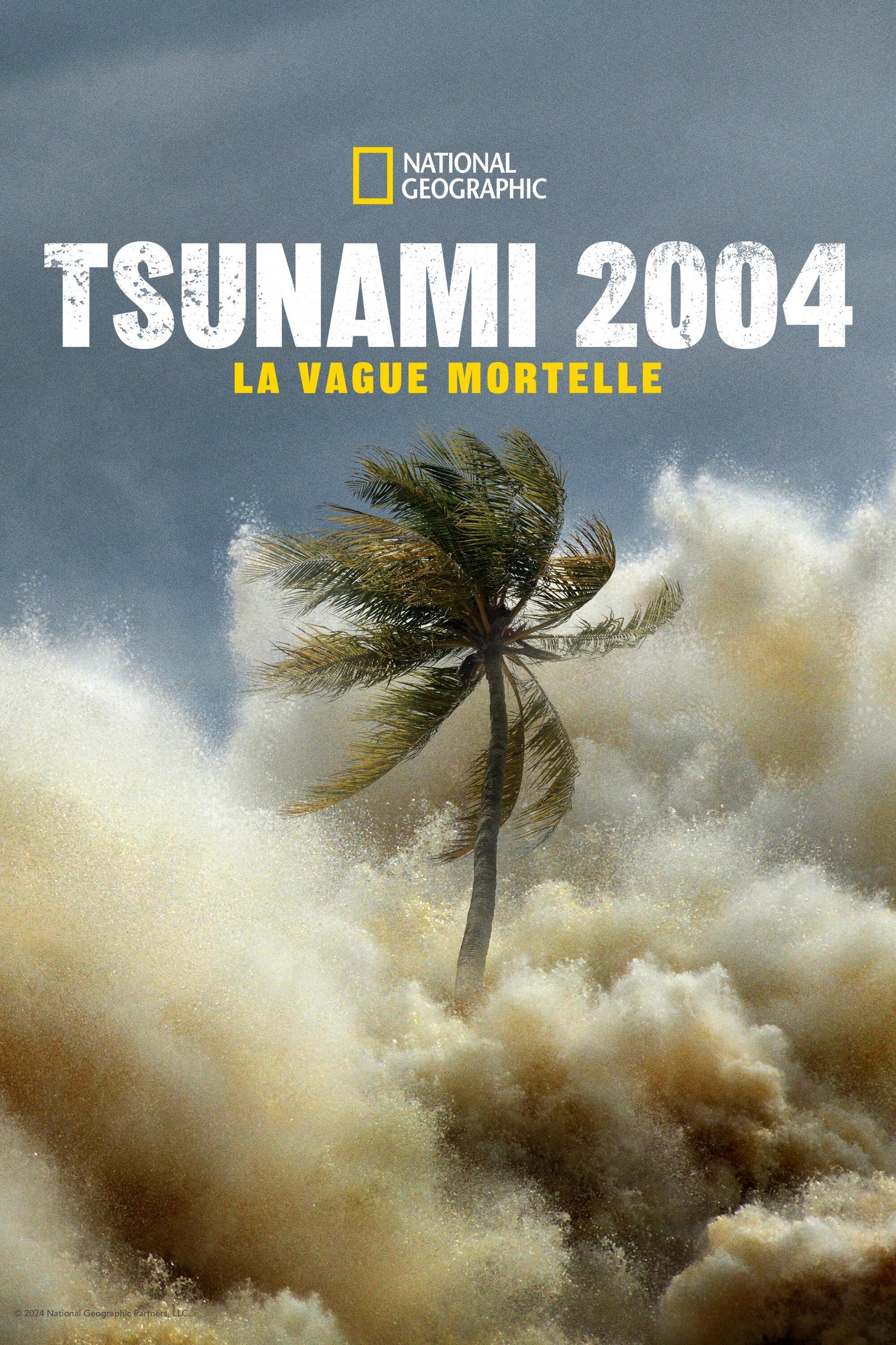 Tsunami 2004 : La Vague Mortelle