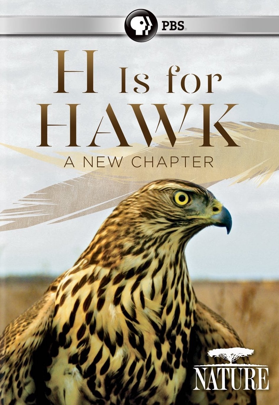 H Is for Hawk: A New Chapter